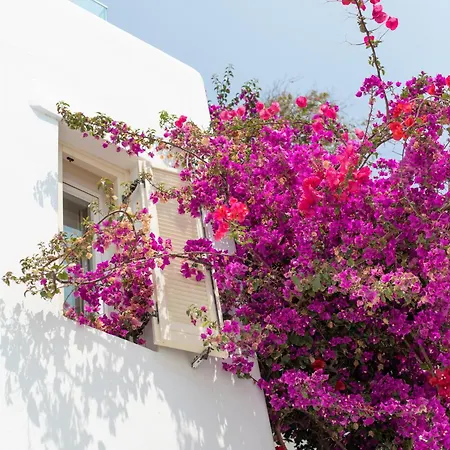 Hotel The George Mykonos 4*