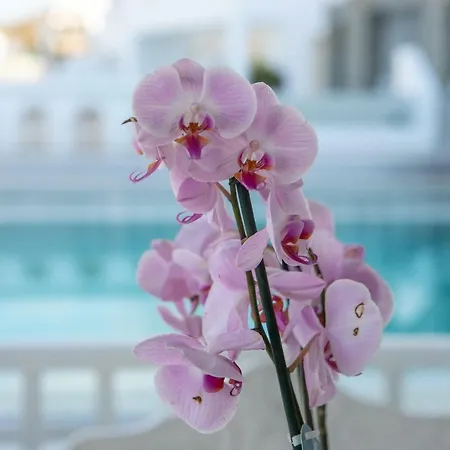 The George Mykonos 4* Platis Yialos